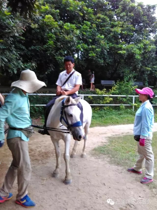 ҷ׌á2015BTм(ji)